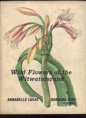 Wild flowers of the Witwatersrand