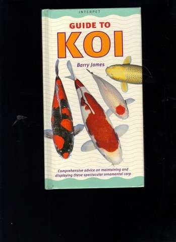Guide to Koi