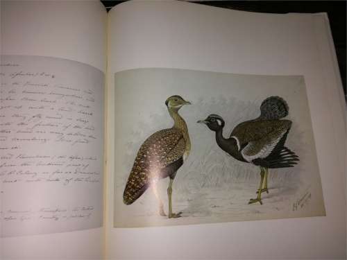 The Biography of Claude Gibney Finch-Davis 1875-1920