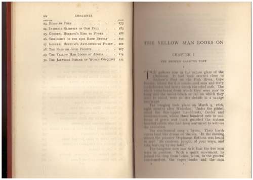 The Yellow Man Looks On - Hedley Chilvers
