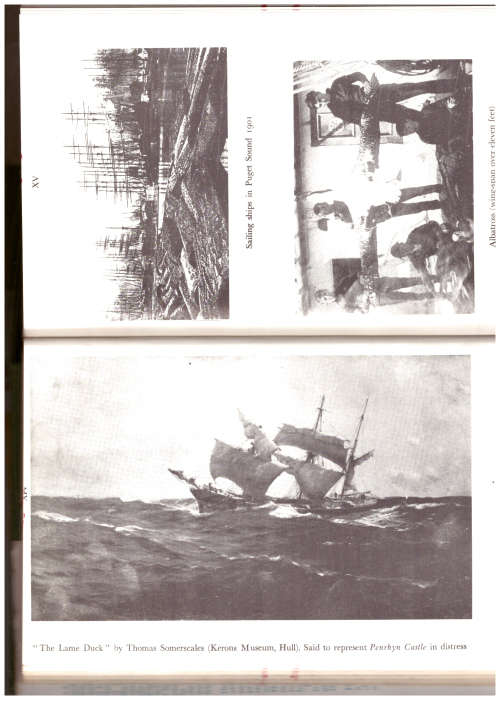 The Last of the Cape Horners