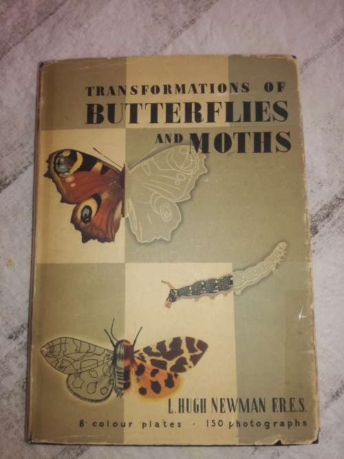 Transformations of Butterflies and Moths