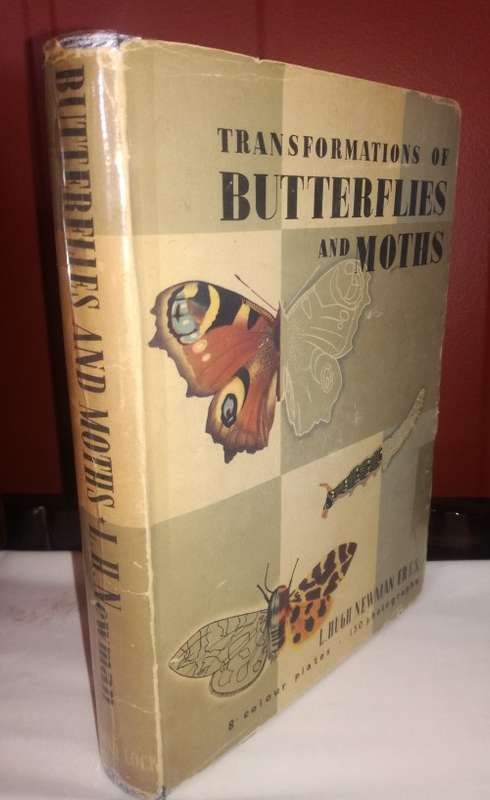 Transformations of Butterflies and Moths