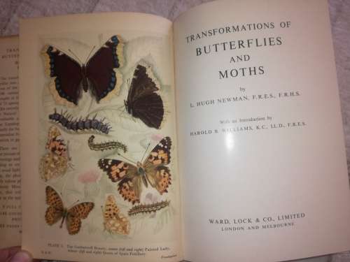 Transformations of Butterflies and Moths