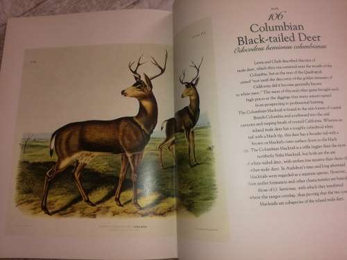 The Living World of Audubon Mammals