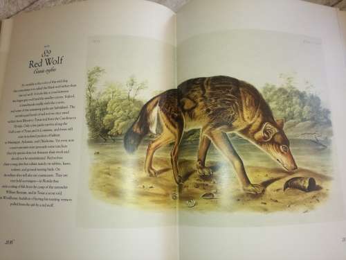 The Living World of Audubon Mammals