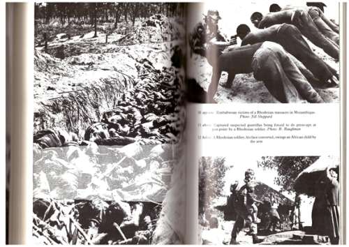 The Struggle for Zimbabwe - The Chimurenga War
