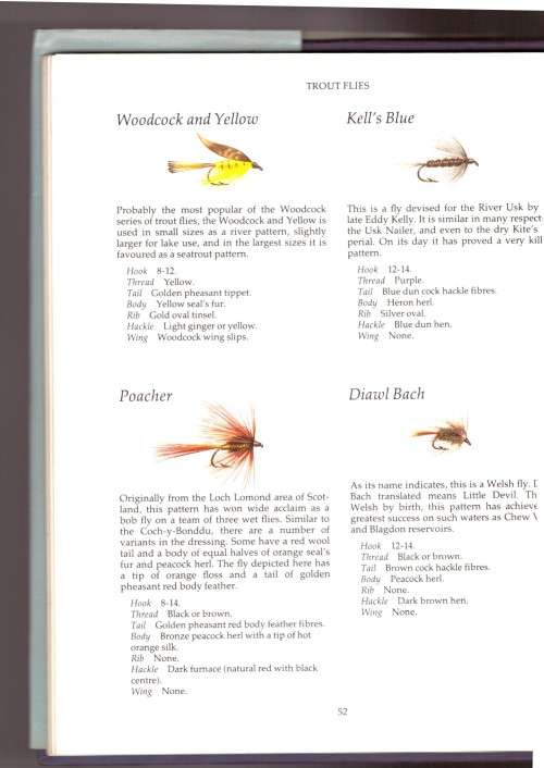 Fly Patterns An International Guide
