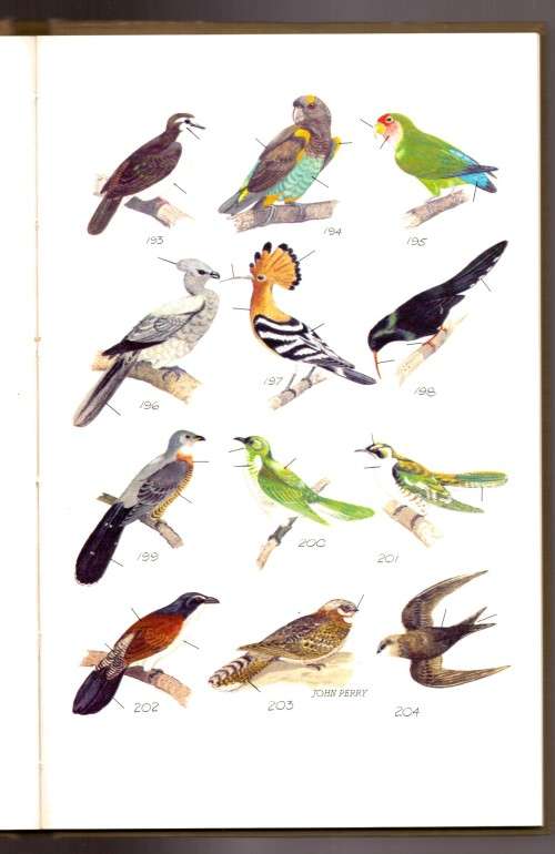 The birds Around Us (SIGNED)