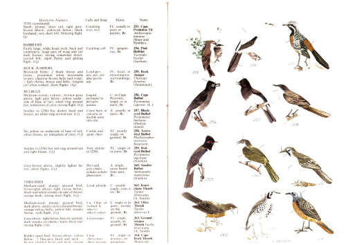 The birds Around Us (SIGNED)