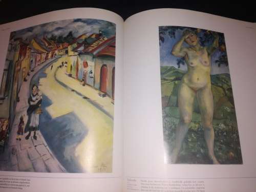 Irma Stern, `n Fees van Kleur