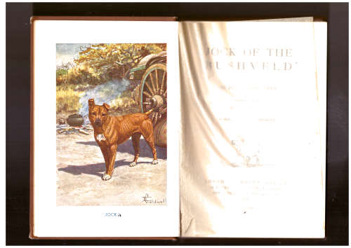 Jock of the Bushveld - first school edition 1908