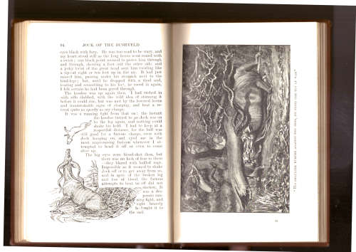 Jock of the Bushveld - first school edition 1908