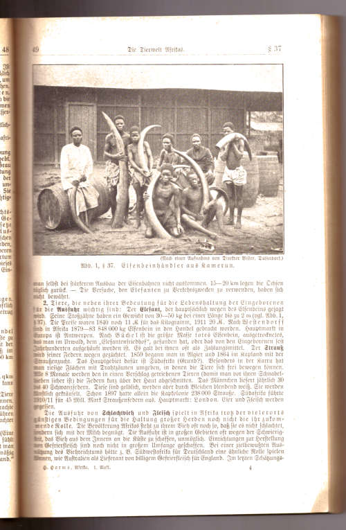 Harms Afrika