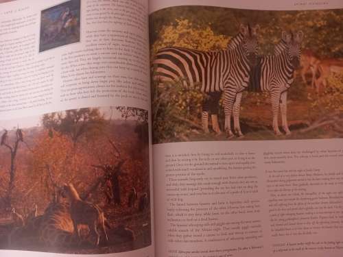 Tuli, Land of Giants (historical background)