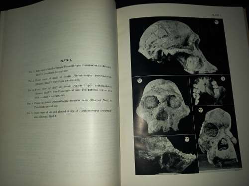 Sterkfontein Ape-Man Plesianthropus, SIGNED by Robert Broom & G. Schepers