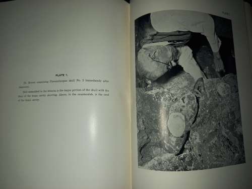 Sterkfontein Ape-Man Plesianthropus, SIGNED by Robert Broom & G. Schepers