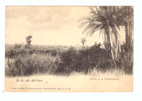 D-S-W. - Afrika, Postkarte - 1945