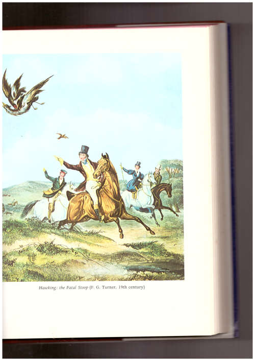 Baxter`s Game Book