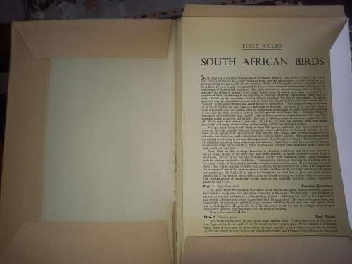 South African Birds / 12 colour plates  (first folio)