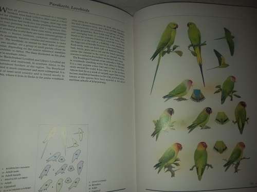 Birds of Southern Africa, The Sasol Plates Collection