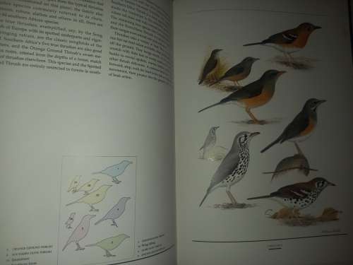 Birds of Southern Africa, The Sasol Plates Collection