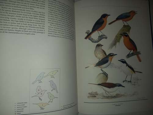 Birds of Southern Africa, The Sasol Plates Collection