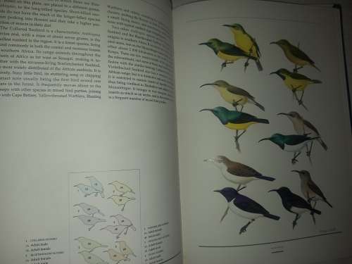 Birds of Southern Africa, The Sasol Plates Collection