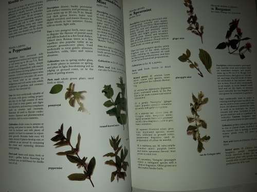 The Complete book of Herbs