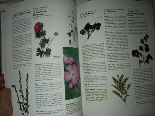 The Complete book of Herbs