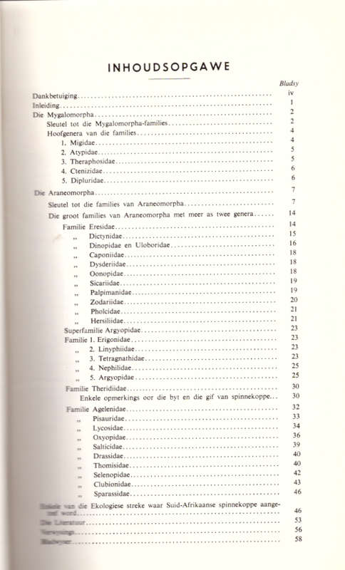 `n Oorsigtelike Beskrywing van Suid-Afrikaanse Spinnekoppe