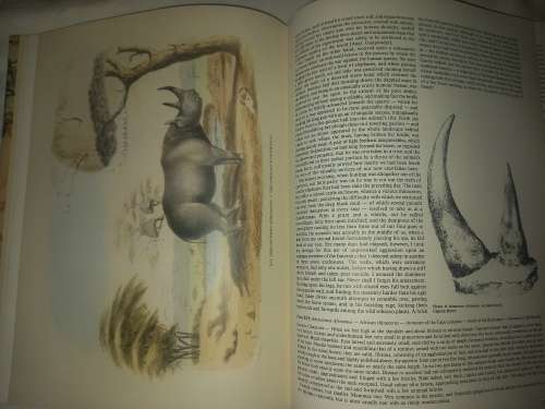 Portraits of the Game and Wild Animals of Southern Africa