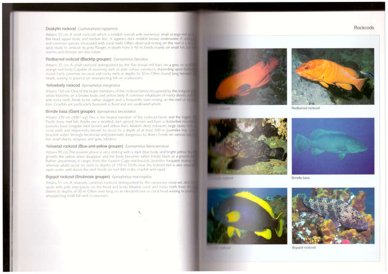 Reef Fishes & Corals , East Coast of Southern Africa