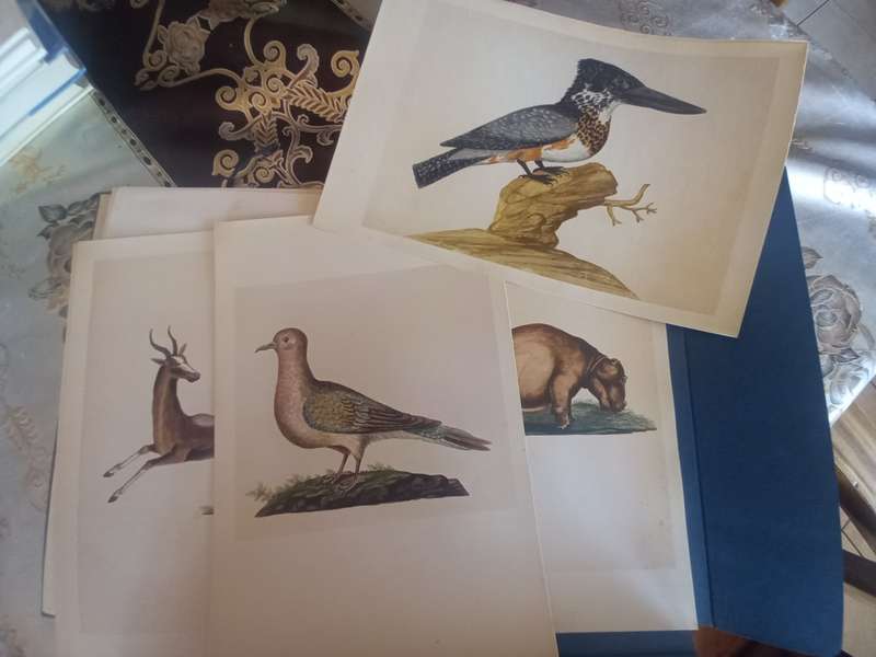 Claudius Water-Colours in the Africana Museum (limited edition)