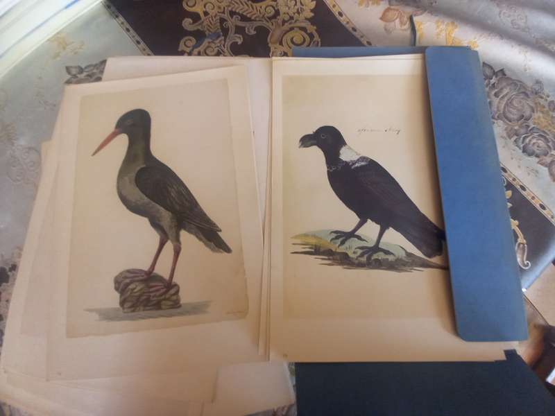 Claudius Water-Colours in the Africana Museum (limited edition)