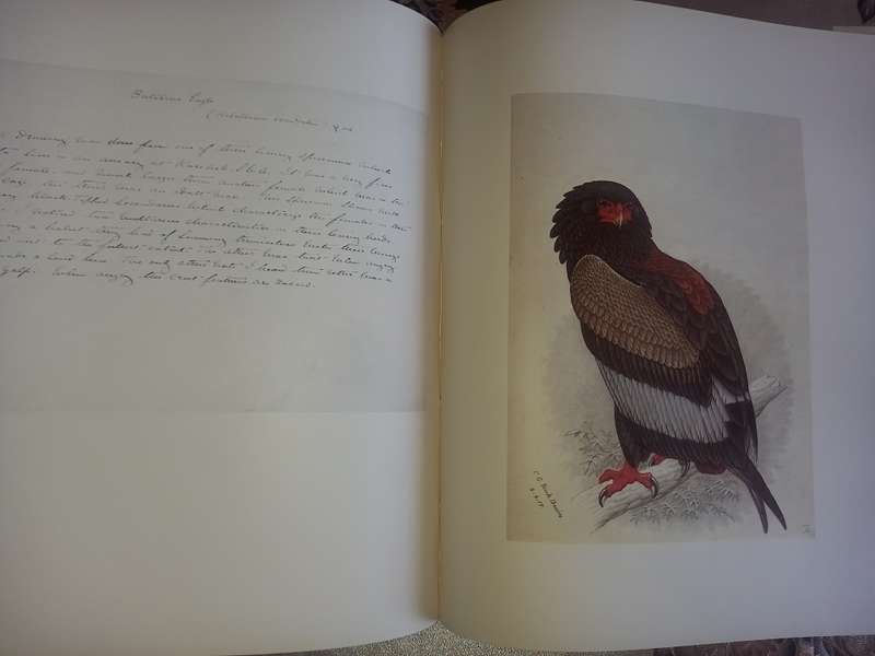 The Biography of Claude Gibney Finch-Davis 1875-1920