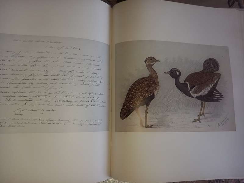 The Biography of Claude Gibney Finch-Davis 1875-1920