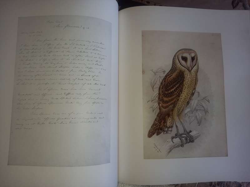 The Biography of Claude Gibney Finch-Davis 1875-1920