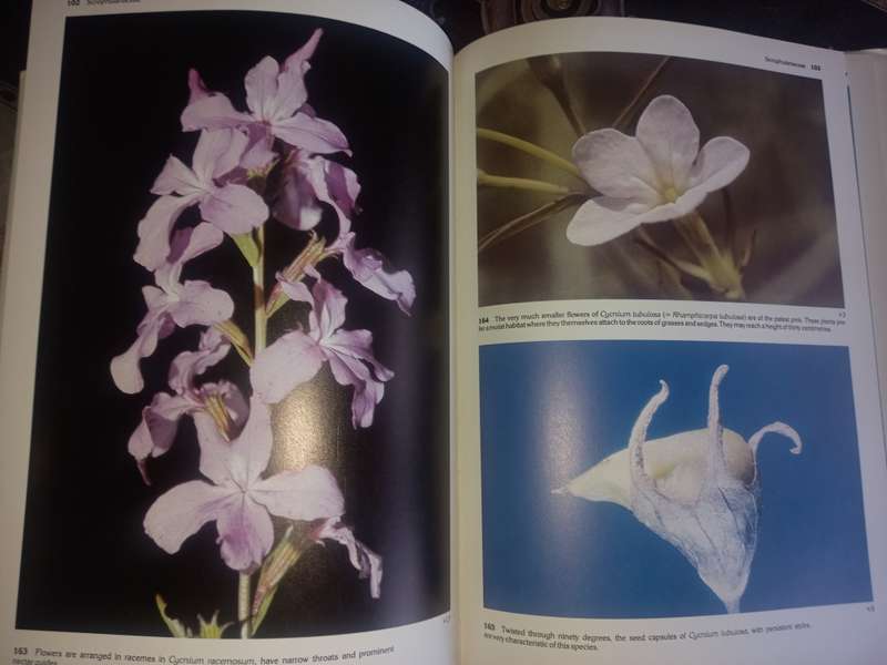 South African Parasitic Flowering Plants