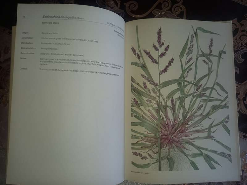 Weeds of Crops and Gardens in Southern Africa