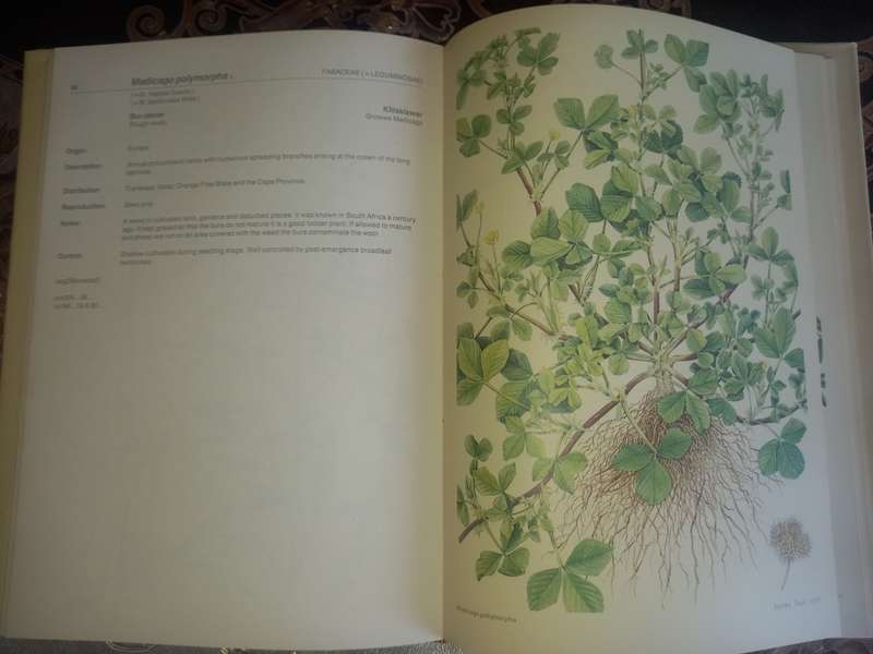 Weeds of Crops and Gardens in Southern Africa