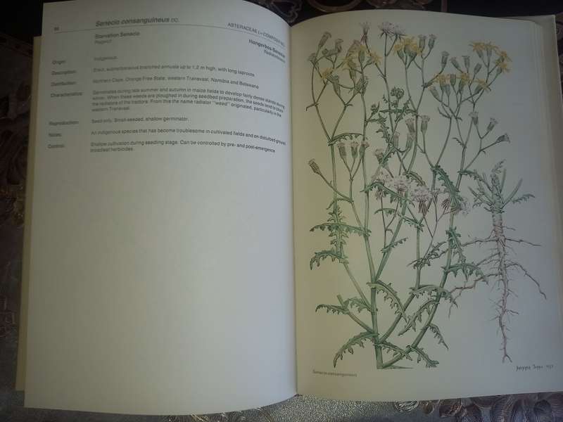 Weeds of Crops and Gardens in Southern Africa