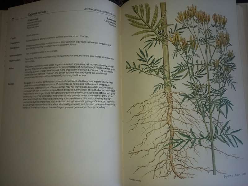 Weeds of Crops and Gardens in Southern Africa