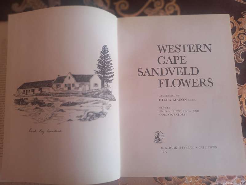 Western Cape Sandveld Flowers