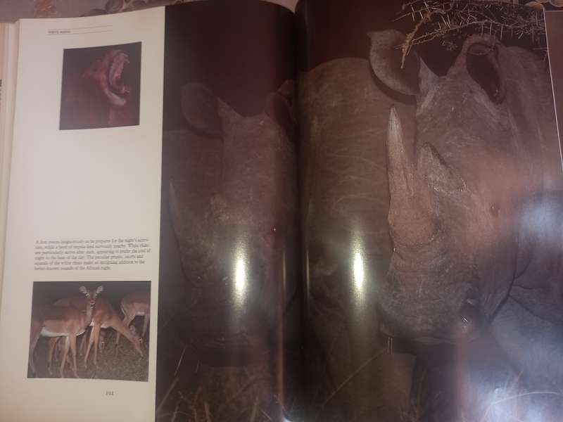 Rhino the story of the rhinoceros and a plea for its conservation