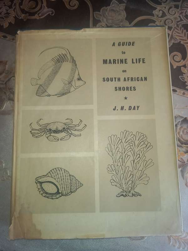 A Guide to Marine Life on South African Shores