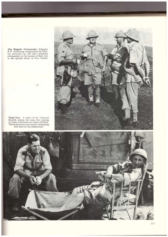 Springbok Record World War II