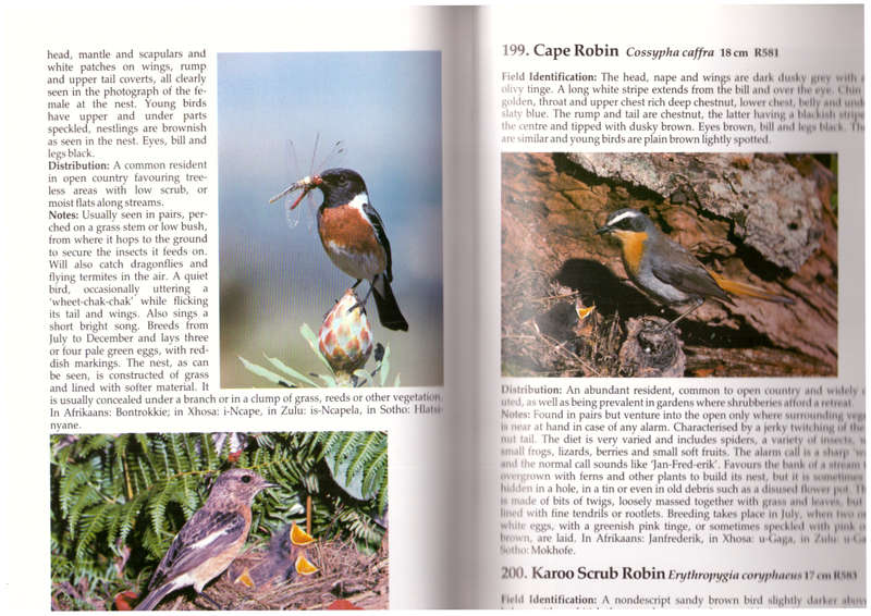 Birds of the South Western Cape