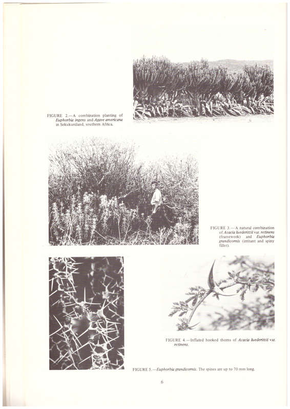 Barrier plants of Southern Africa