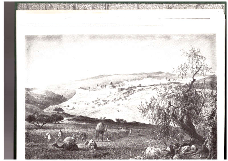 Jerusalem in old engravings and illustrations (SIGNED)